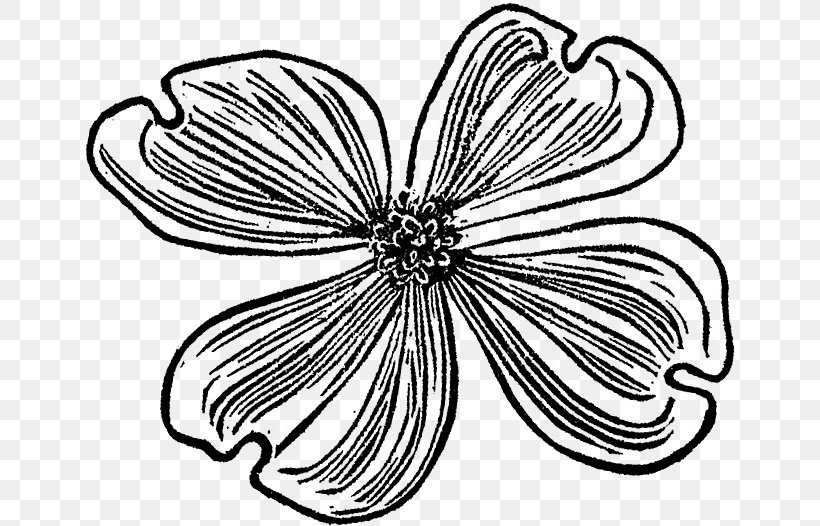 Line Art Pattern, PNG, 654x526px, Art, Artwork, Black And White, Cut Flowers, Drawing Download Free