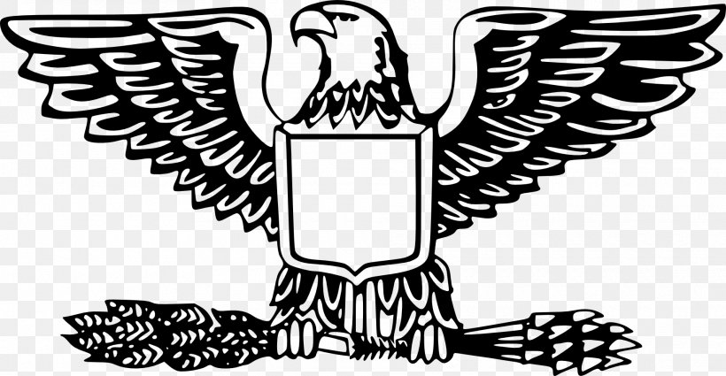 Bald Eagle United States Clip Art, PNG, 1920x996px, Bald Eagle, Beak, Bird, Bird Of Prey, Black And White Download Free