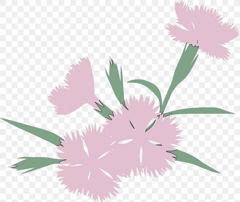 Feather, PNG, 3000x2520px, Pink, Dianthus, Feather, Flower, Grass Download Free
