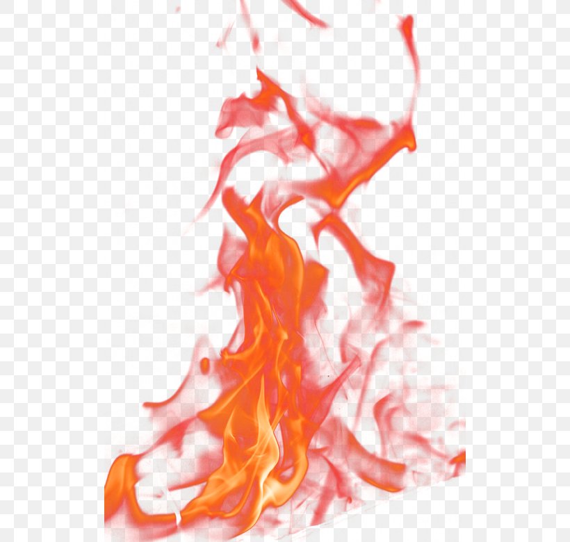 Flame Light Fire Combustion, PNG, 520x780px, Flame, Combustion ...