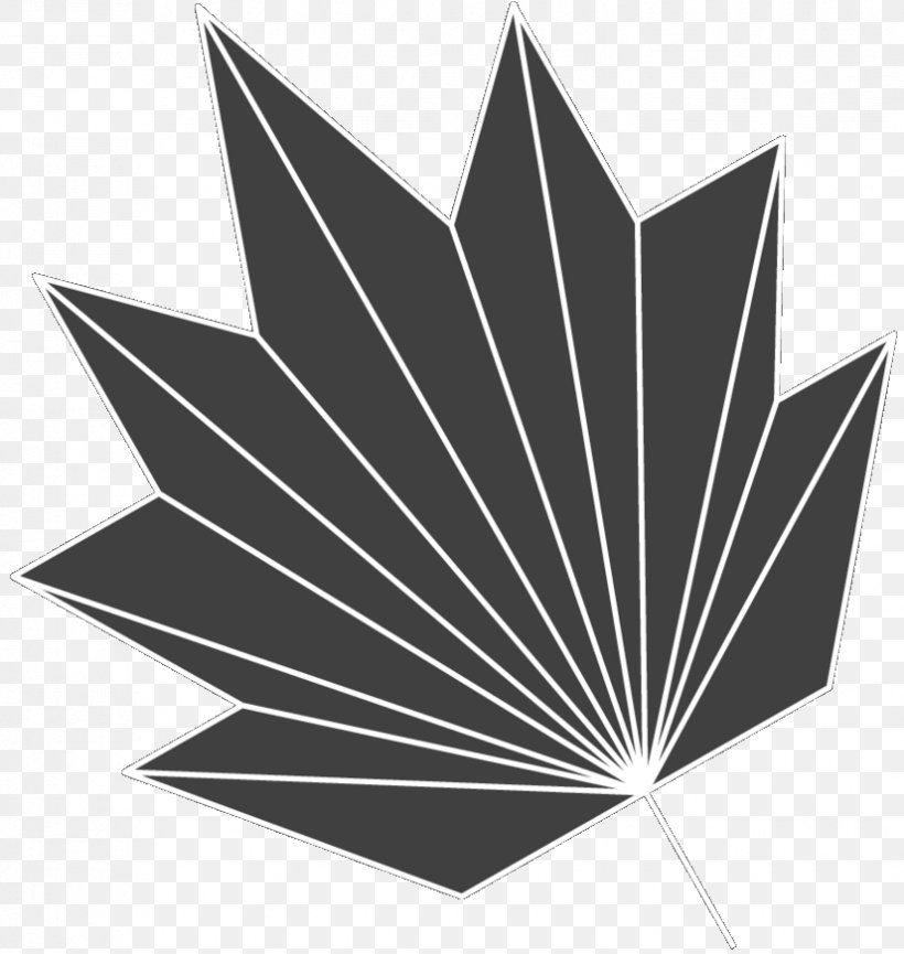 Black & White, PNG, 826x872px, Black White M, Blackandwhite, Leaf, Logo, Plant Download Free