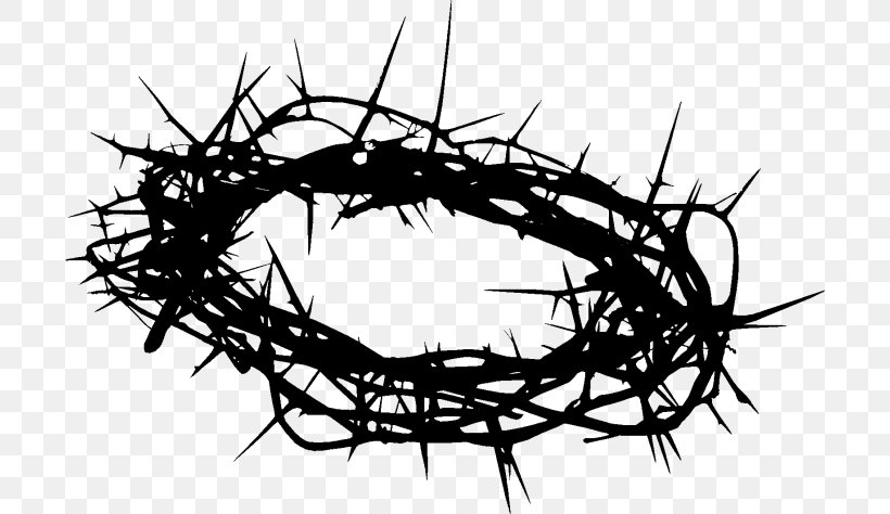 Crown Of Thorns Clip Art Image Christian Cross Prince Of The Sun, PNG, 700x474px, Crown Of Thorns, Architecture, Art, Blackandwhite, Branch Download Free