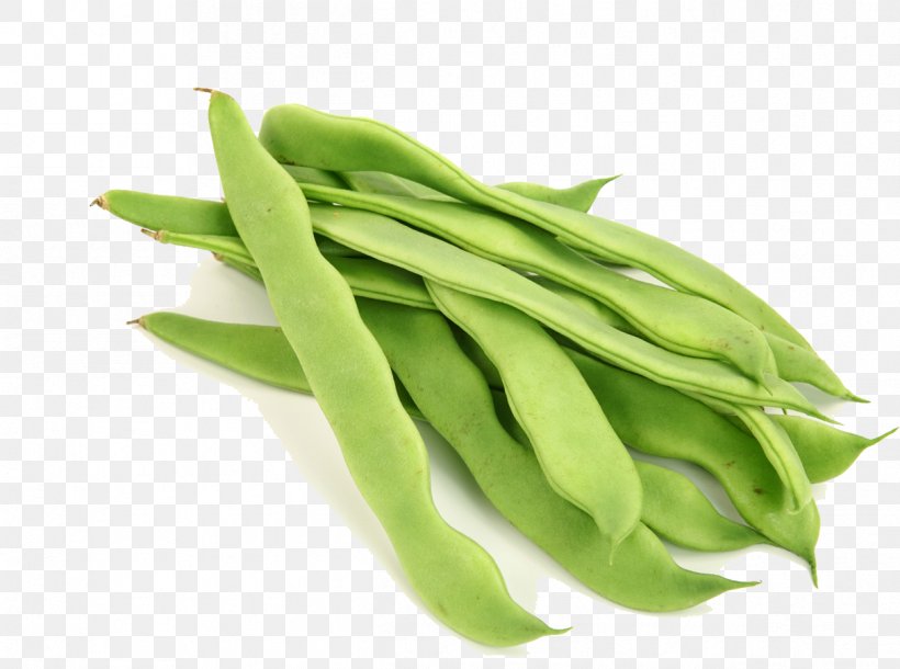 Lablab Broad Bean Common Bean Vegetable, PNG, 1216x906px, Lablab, Bean, Broad Bean, Commodity, Common Bean Download Free