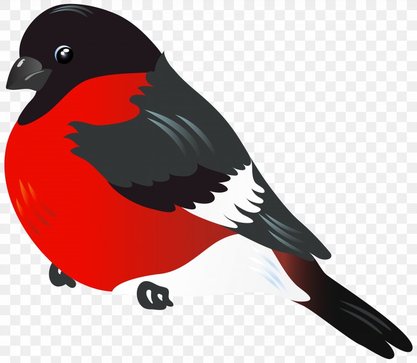 Lovebird Clip Art, PNG, 6229x5427px, Bird, Beak, Feather, Lovebird, Red Download Free