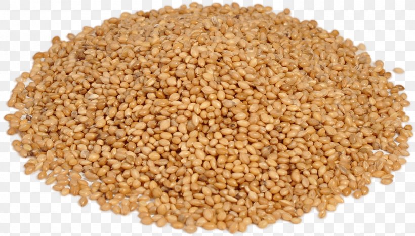 Mealberry GmbH Cereal Germ Guizotia Abyssinica Safflower, PNG, 1500x854px, Cereal Germ, Bran, Buckwheat, Carrot, Cereal Download Free