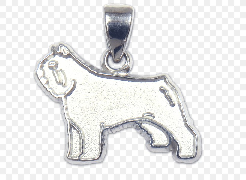 Bouvier Des Flandres Airedale Terrier Locket Dog Breed Charms & Pendants, PNG, 600x600px, Bouvier Des Flandres, Airedale Terrier, American Kennel Club, Body Jewelry, Bracelet Download Free