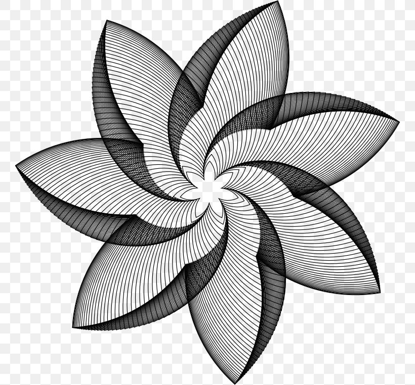 Geometry Line Art Flower, PNG, 762x762px, Geometry, Art, Black And White, Color, Flower Download Free