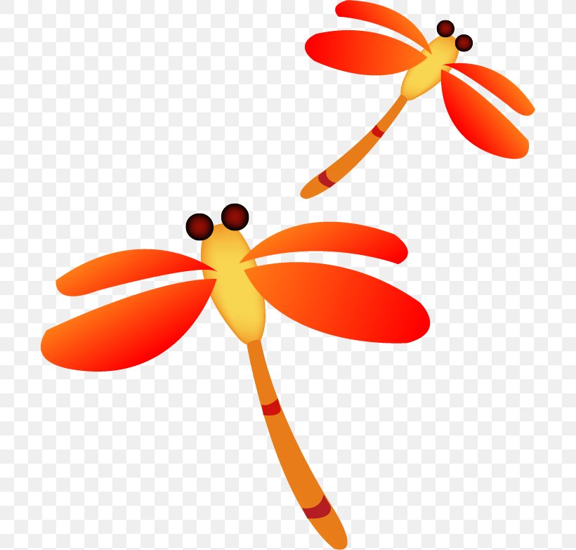 Insect Dragonfly Clip Art, PNG, 704x783px, Insect, Animation, Cartoon, Dragonfly, Drawing Download Free