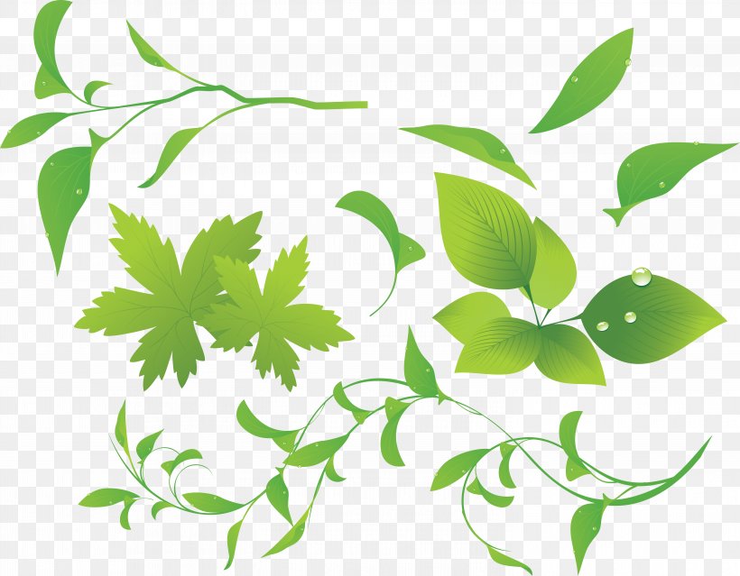 Plant Clip Art, PNG, 5888x4595px, Plant, Bamboo, Branch, Cdr, Flora Download Free