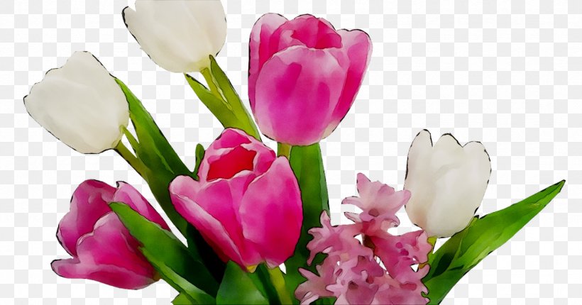 Tulip Flower Bouquet Cut Flowers Klinika Glazunovoy, PNG, 1331x699px, Tulip, Birthday, Botany, Bouquet, Bud Download Free