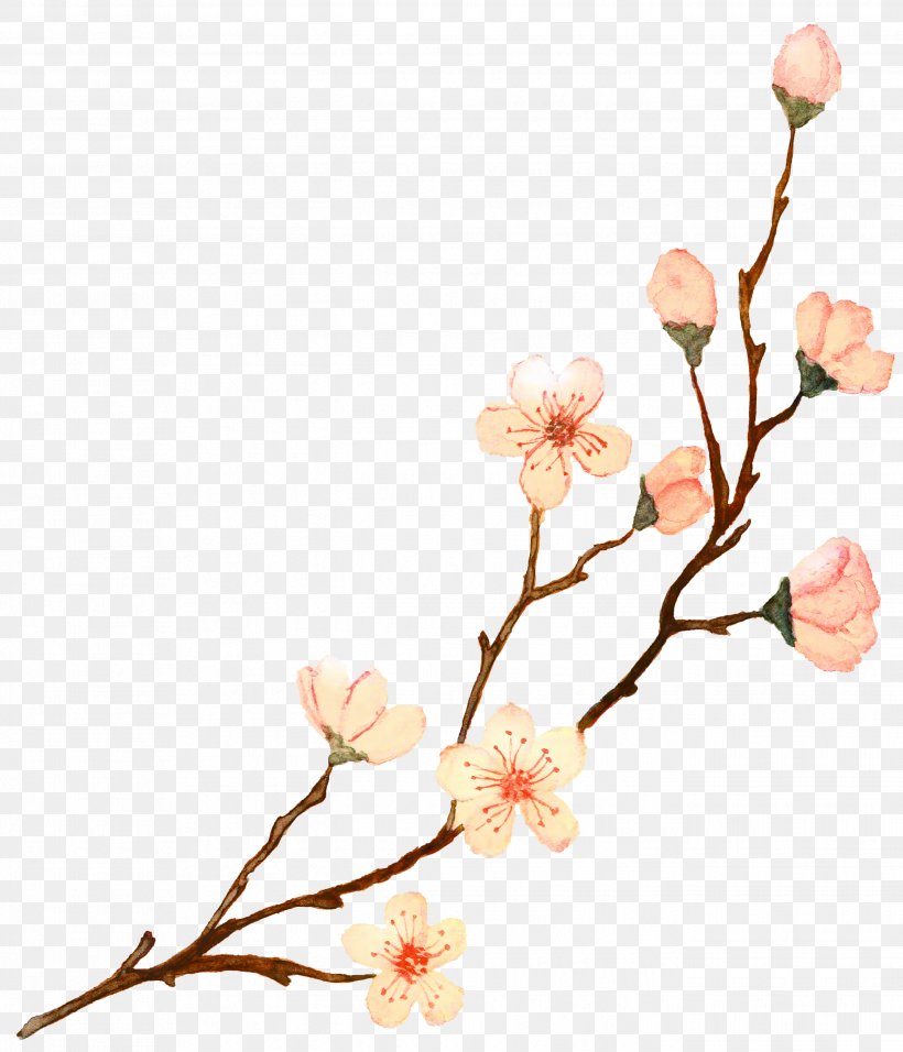 Wedding Spring Flowers, PNG, 2688x3135px, Dipsy, Blossom, Branch, Bud, Cherry Blossom Download Free