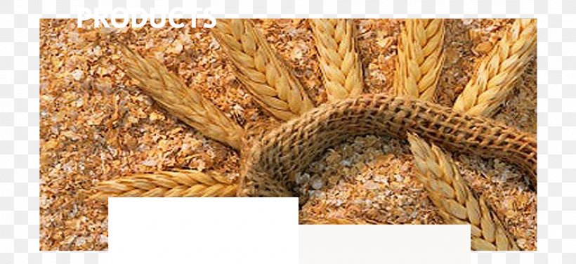 Bran Flour Oat Gluten Common Wheat, PNG, 1920x882px, Bran, Bread, Cereal, Commodity, Common Wheat Download Free