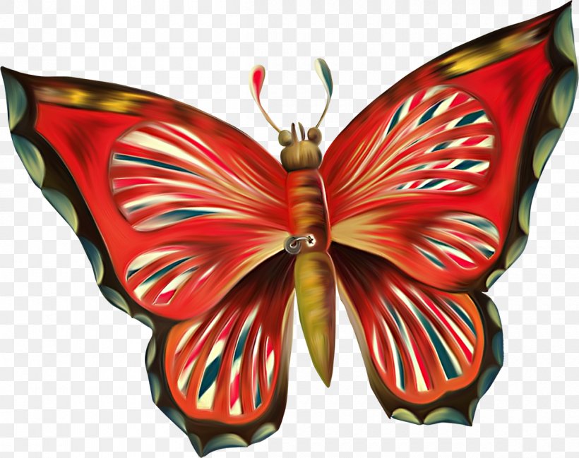 Butterfly Pollinator Clip Art, PNG, 1200x950px, Butterfly, Arthropod, Brush Footed Butterfly, Butterflies And Moths, Home Page Download Free