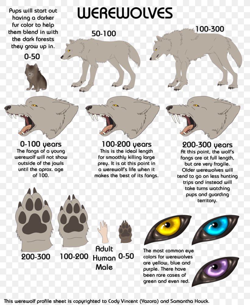 Dog Werewolf DeviantArt Drawing Digital Art, PNG, 800x1000px, Dog, Animal Figure, Art, Canidae, Carnivoran Download Free