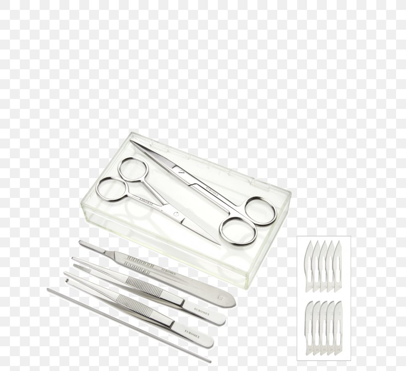 Tool Cutlery, PNG, 671x750px, Tool, Cutlery, Tableware Download Free