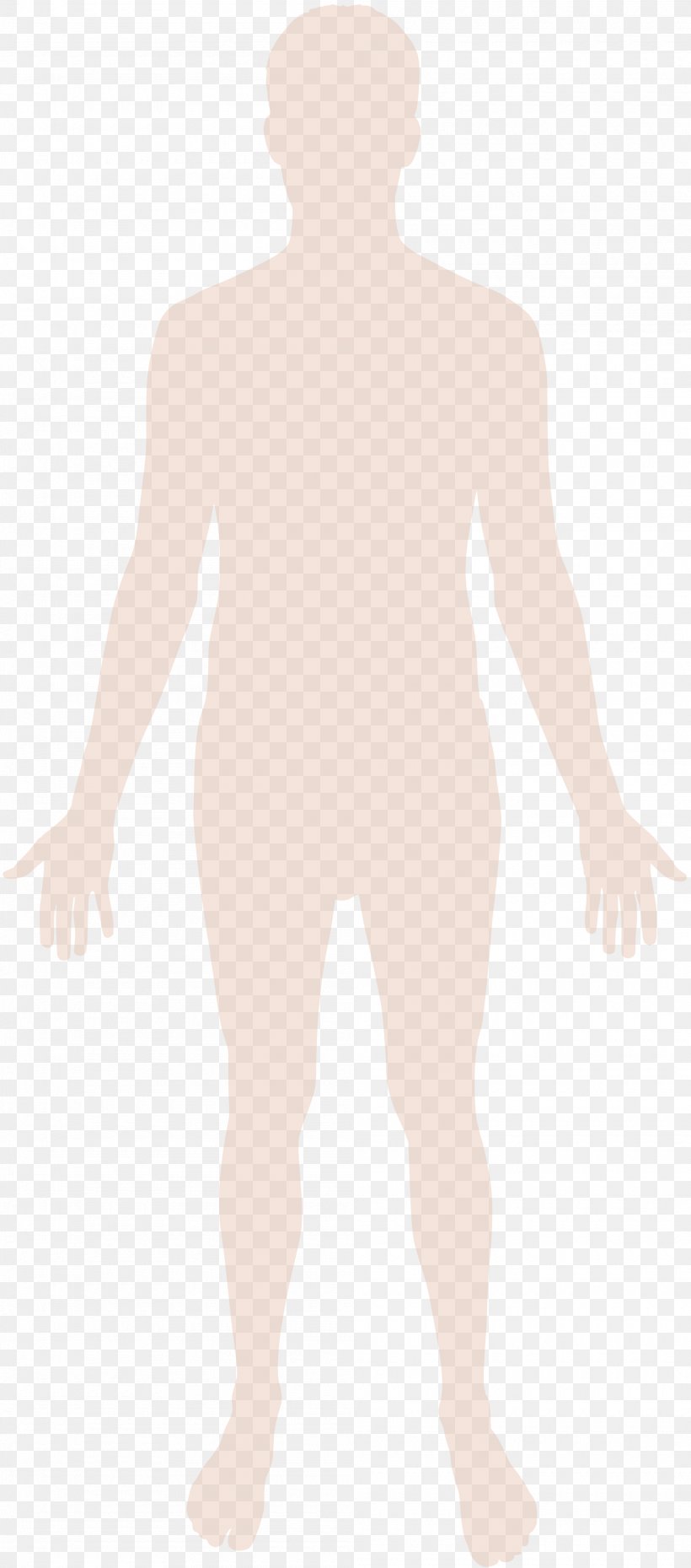 Human Body Homo Sapiens Hand, PNG, 2000x4536px, Watercolor, Cartoon, Flower, Frame, Heart Download Free