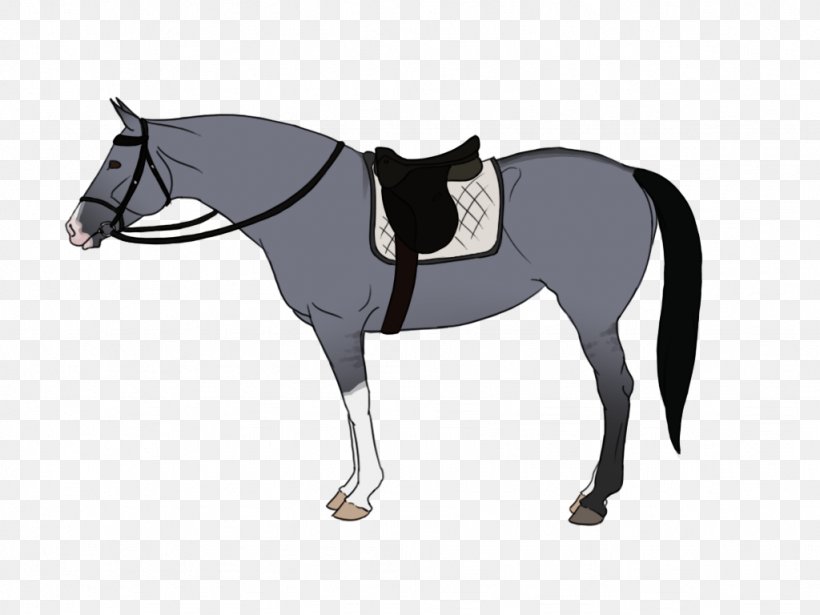 Mane Mustang English Riding Stallion Pony, PNG, 1024x768px, Mane, Bit, Bridle, English Riding, Equestrian Sport Download Free