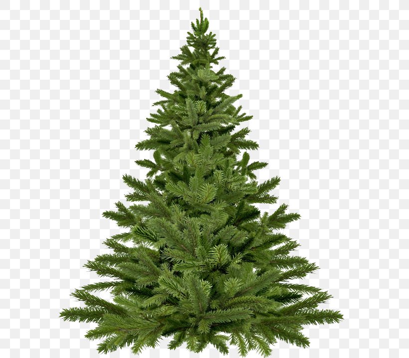 Recycling Christmas Tree Waste Management Compost, PNG, 650x719px, Recycling, Christmas, Christmas And Holiday Season, Christmas Decoration, Christmas Ornament Download Free