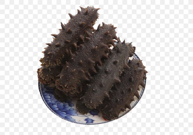 Sea Cucumber As Food Sashimi Extract, PNG, 620x573px, Sea Cucumber As Food, Alibaba Group, Chocolate Cake, Condiment, Cucumber Download Free