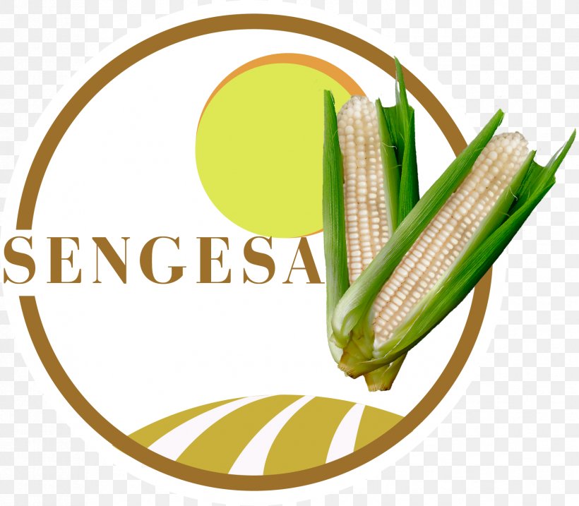 Sengesa Corn On The Cob Seed Food, PNG, 1703x1491px, Corn On The Cob, Brand, Commodity, Corn, Envase Download Free