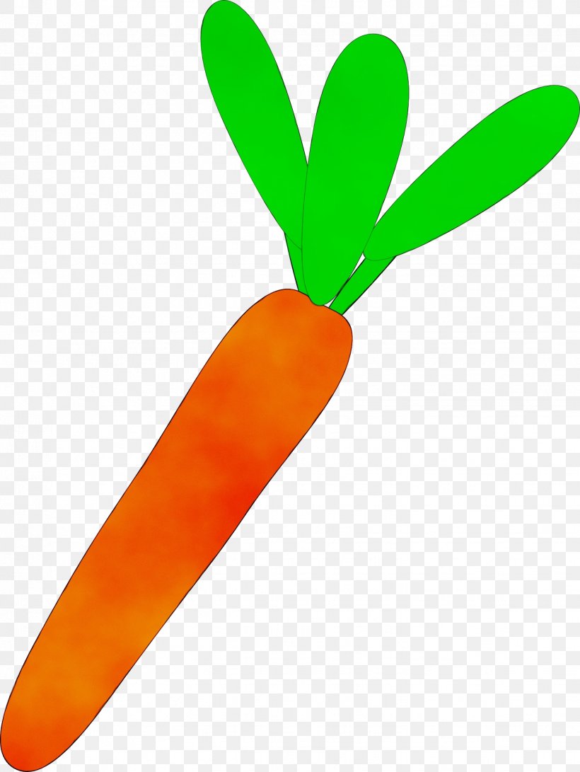Cartoon Baby, PNG, 1442x1920px, Carrot, Animation, Arracacia Xanthorrhiza, Baby Carrot, Food Download Free