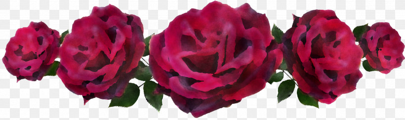 Garden Roses, PNG, 2560x762px, Garden Roses, Artificial Flower, Cut Flowers, Floral Design, Flower Download Free