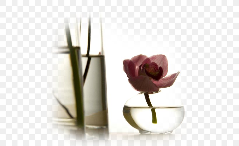 Still Life Photography Vase Flower, PNG, 500x500px, Still Life Photography, Cup, Cutlery, Flavor, Flower Download Free