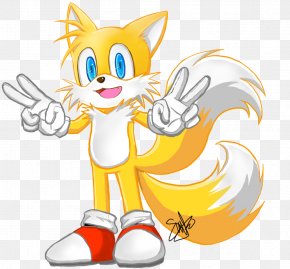 Tails Sonic the Hedgehog Sega, flying the flag, mammal, carnivoran, sonic  The Hedgehog png