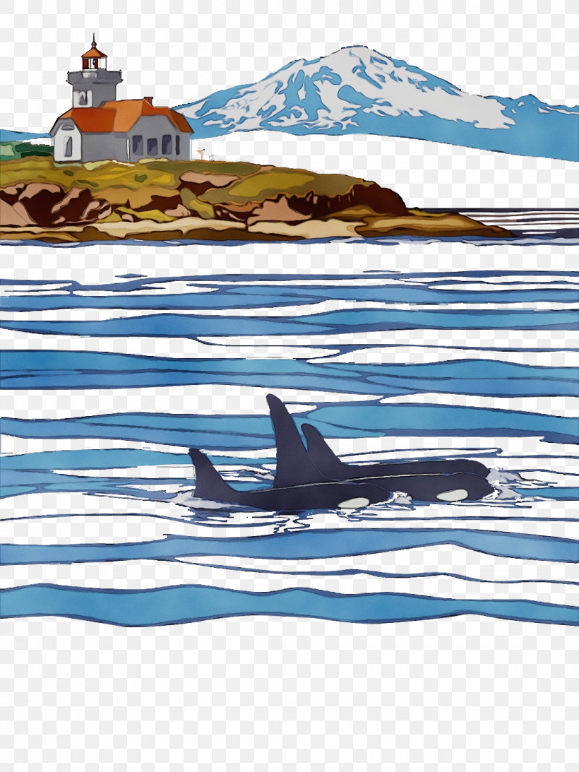 09738 Arctic Killer Whale Water Line, PNG, 1080x1440px, Watercolor, Arctic, Killer Whale, Line, Paint Download Free