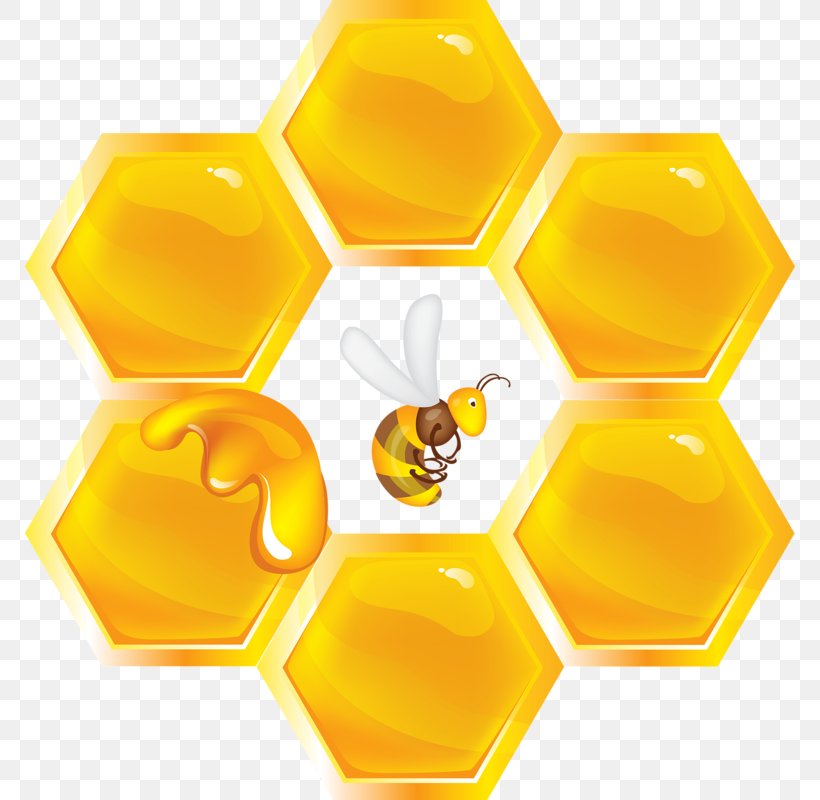 Honey Bee Honeycomb Insect, PNG, 770x800px, Honey Bee, Bee, Beehive, Bumblebee, Honey Download Free