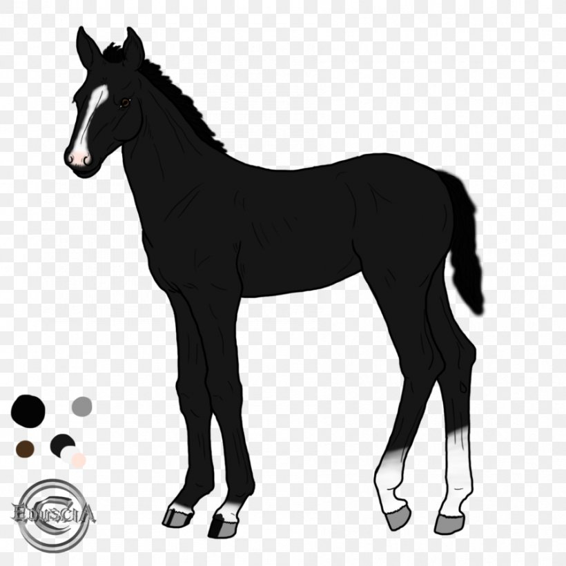 Mustang Foal Pony Stallion, PNG, 894x894px, Mustang, Black And White, Bridle, Colt, Foal Download Free