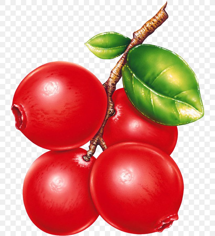 Berry Stuffing Fruit Preserves, PNG, 742x899px, Berry, Auglis, Bush Tomato, Cherry, Christmas Ornament Download Free