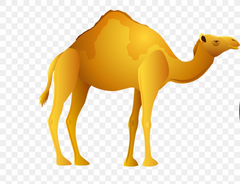 Camel Egypt Clip Art, PNG, 938x721px, Egypt, Ancient Egypt, Ankh, Arabian Camel, Camel Download Free