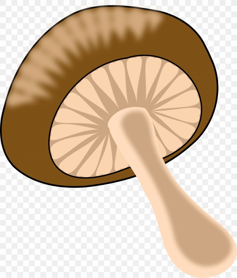 Common Mushroom Clip Art, PNG, 1713x2009px, Mushroom, Amanita Muscaria, Beige, Blog, Common Mushroom Download Free