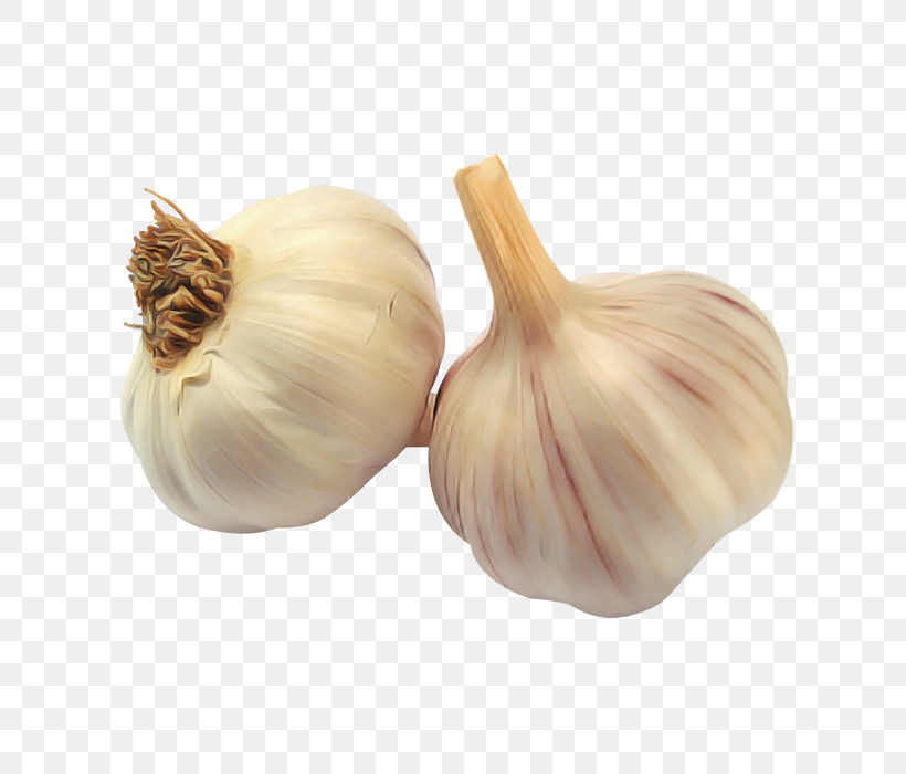 Garlic Elephant Garlic Vegetable Food Plant, PNG, 700x700px, Garlic, Allium, Elephant Garlic, Food, Ingredient Download Free