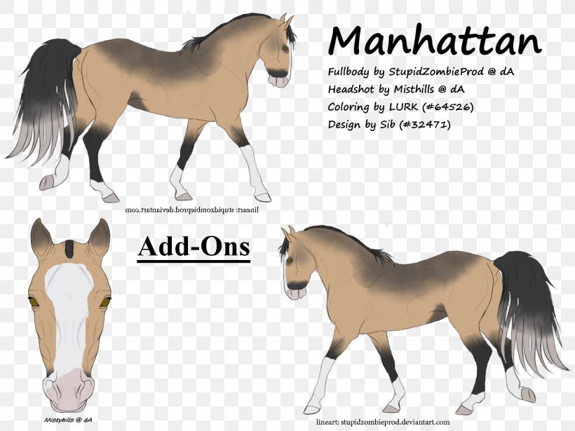 Mane Mustang Foal Stallion Colt, PNG, 1600x1200px, Mane, Colt, Foal, Halter, Horse Download Free