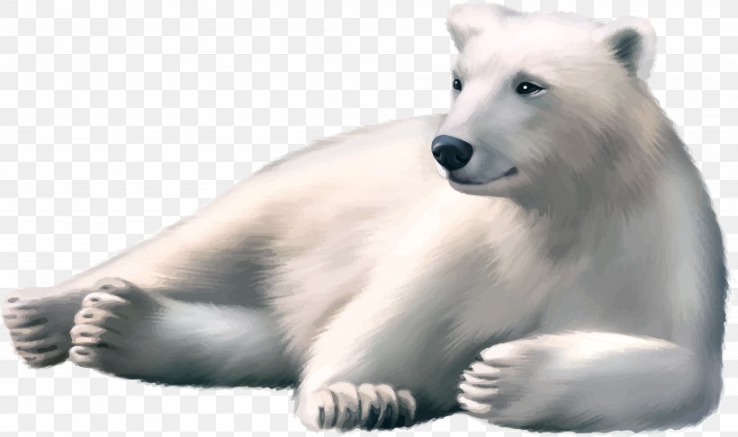 Polar Bear Brown Bear Arctic, PNG, 3996x2370px, Polar Bear, Arctic, Bear, Brown Bear, Carnivoran Download Free