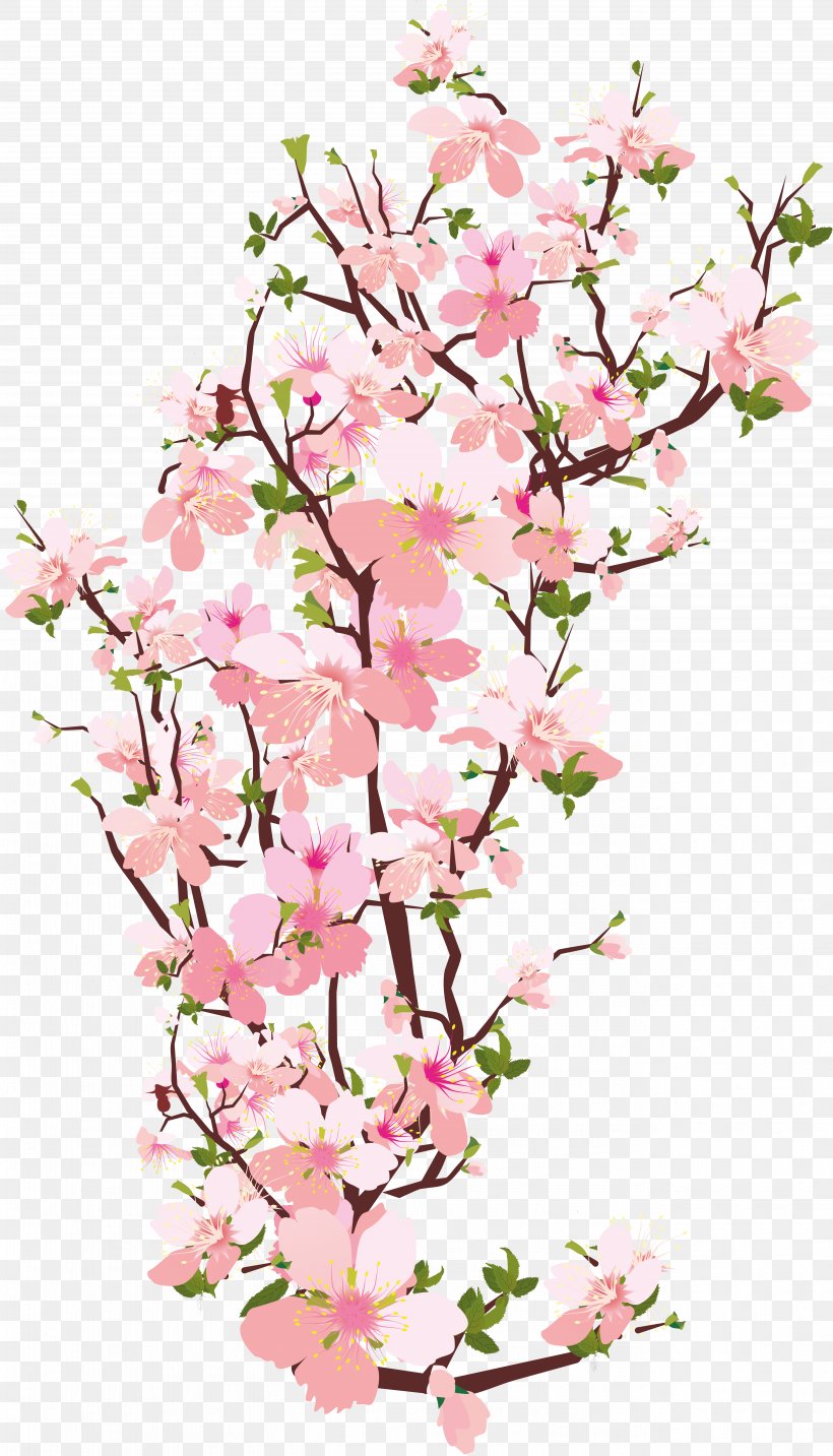 Cherry Blossom Flower Clip Art, PNG, 5291x9250px, Blossom, Branch, Cherry Blossom, Cut Flowers, Floral Design Download Free