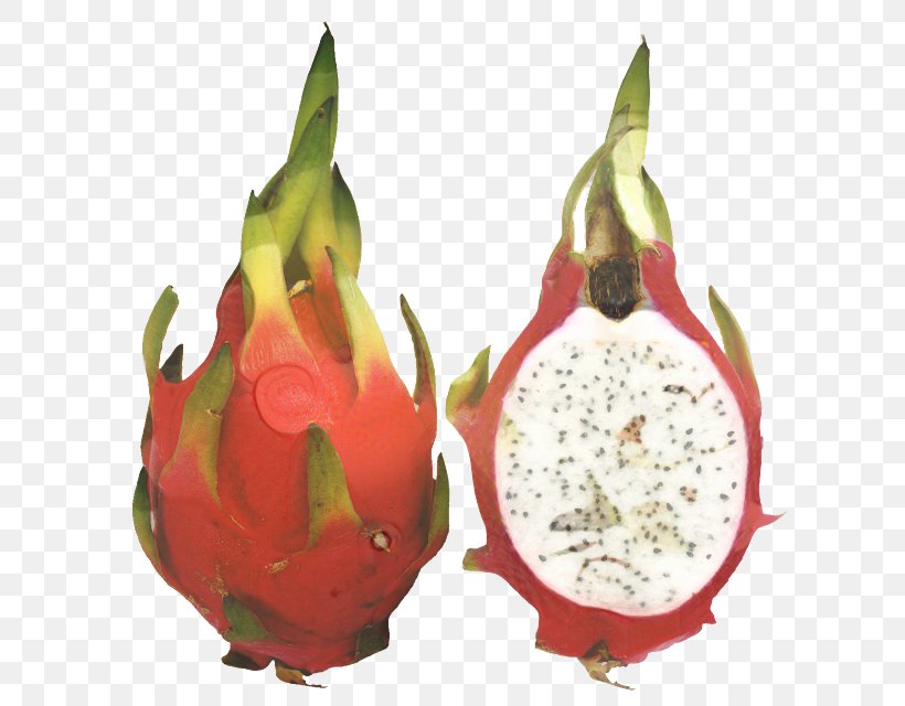Pomegranate Flower, PNG, 637x640px, Whitefleshed Pitahaya, Cactus, Clausena Lansium, Costa Rican Pitahaya, Dragon Download Free