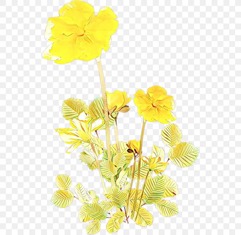 Yellow Flower Plant Plant Stem Petal, PNG, 536x800px, Cartoon, Cut Flowers, Flower, Herbaceous Plant, Pedicel Download Free