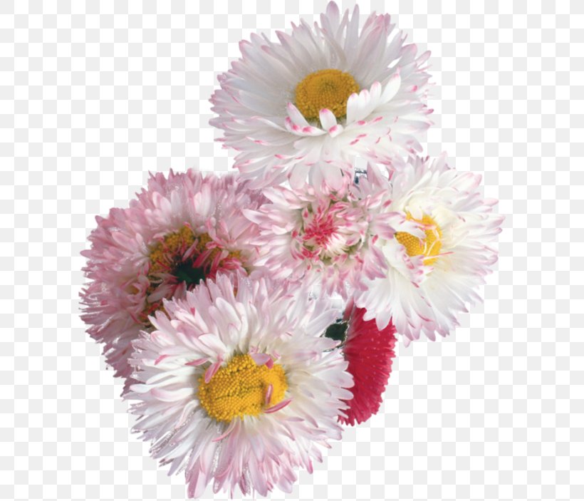 Flower Bouquet Illustration, PNG, 600x703px, Flower, Annual Plant, Artificial Flower, Aster, Cdr Download Free