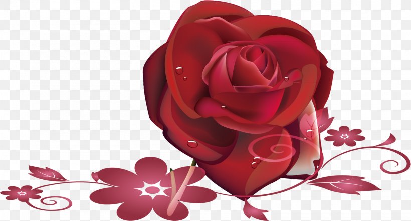 Garden Roses Beach Rose Petal, PNG, 1610x866px, Garden Roses, Beach Rose, Cut Flowers, Floral Design, Floristry Download Free