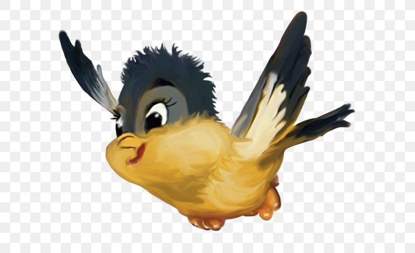 Bird Presentation Clip Art, PNG, 656x500px, Bird, Animal, Beak, Cartoon, Chicken Download Free