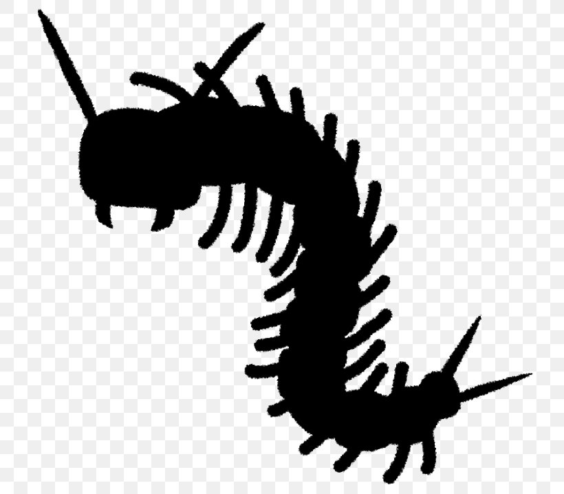 Clip Art Silhouette Insect Membrane Legendary Creature, PNG, 800x718px, Silhouette, Art, Arthropod, Blackandwhite, Caterpillar Download Free