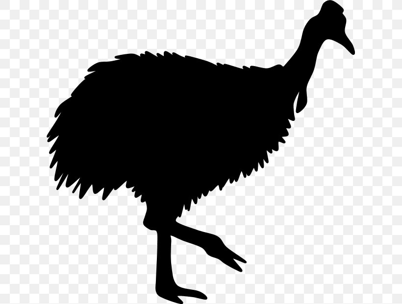 Common Ostrich Galliformes Beak Silhouette Clip Art, PNG, 629x621px, Common Ostrich, Animal, Beak, Bird, Black And White Download Free
