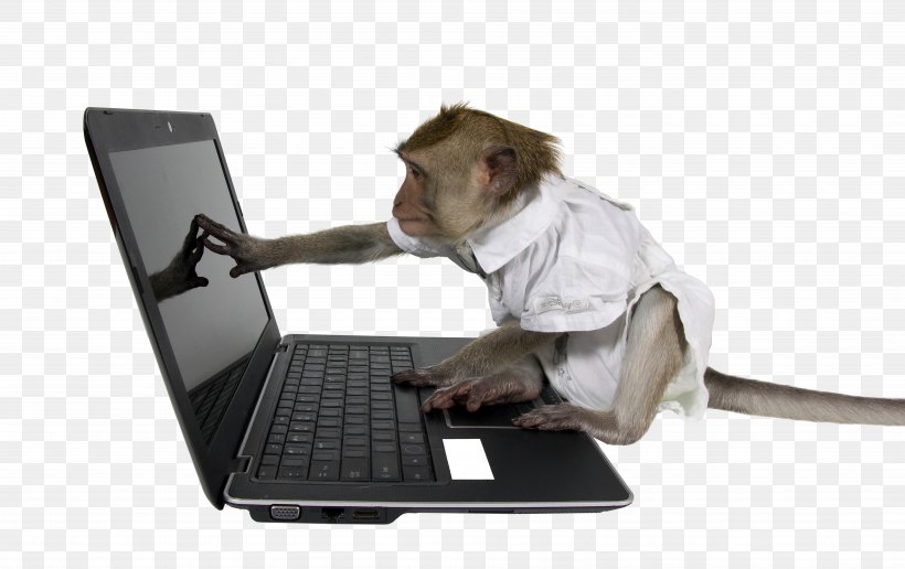 Laptop Monkey Testing Computer Infinite Monkey Theorem, PNG, 7546x4754px, Laptop, Computer, Infinite Monkey Theorem, Information, Mammal Download Free