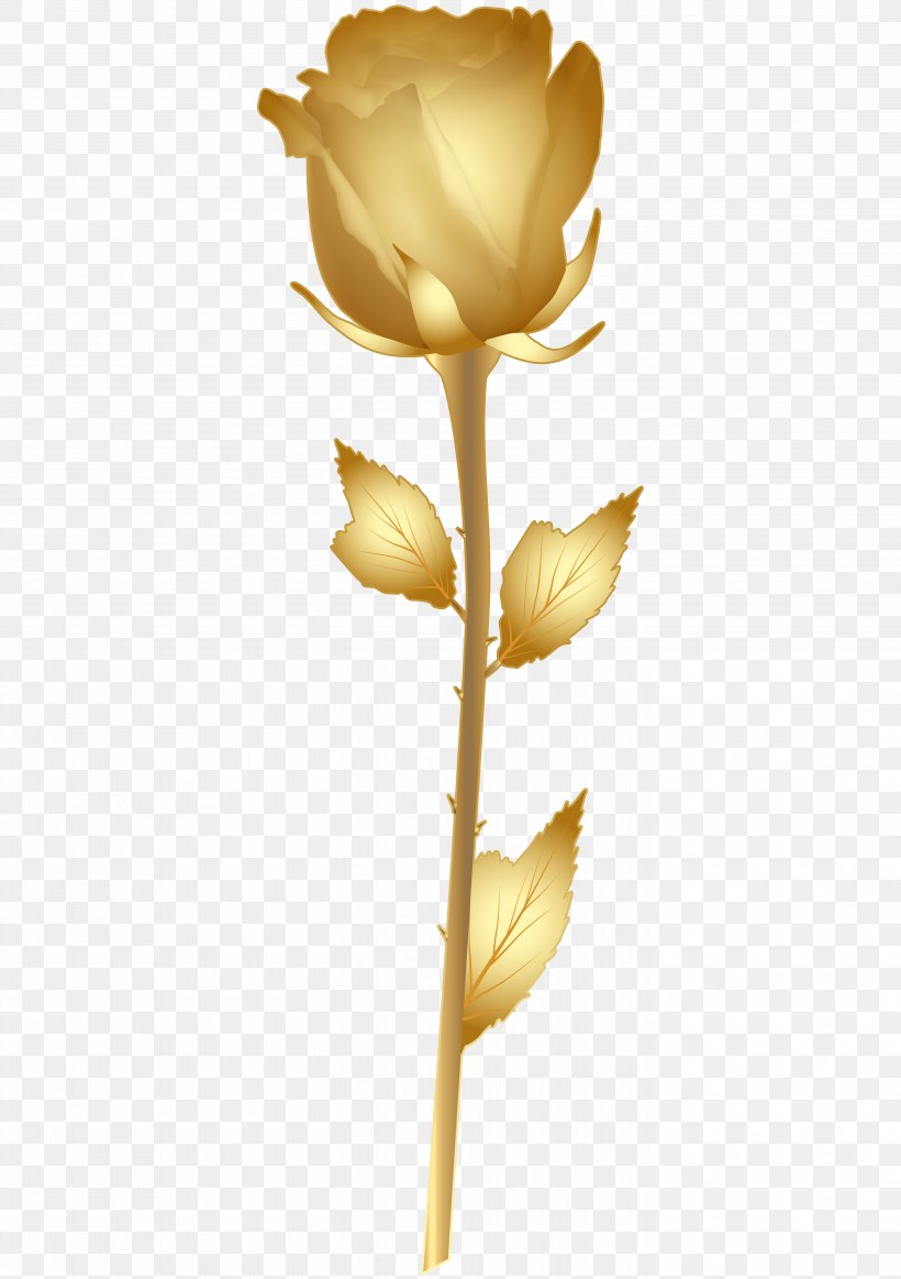 Rose Gold Flower Clip Art, PNG, 5638x8000px, Rose, Blue Rose, Color