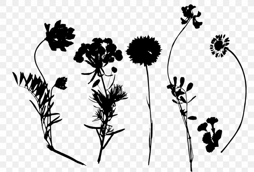 Twig Leaf Plant Stem Pattern Design, PNG, 2126x1437px, Twig, Black M, Blackandwhite, Botany, Branch Download Free