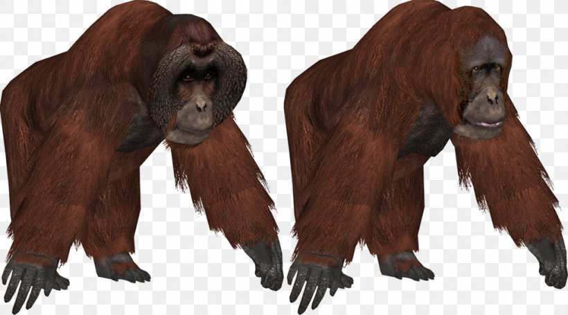 Zoo Tycoon 2 Common Chimpanzee Bornean Orangutan Sumatran Orangutan, PNG, 1000x556px, Zoo Tycoon 2, Animal, Ape, Bornean Orangutan, Chimpanzee Download Free