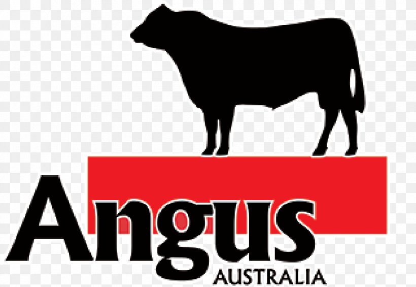 Angus Cattle Red Angus Brangus Bald Blair Angus Triple A Angus, PNG, 1338x922px, Angus Cattle, Australia, Beef, Beef Cattle, Black And White Download Free